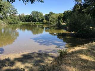 Vente de terrain 1 pièce