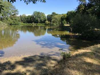 Vente de terrain 1 pièce