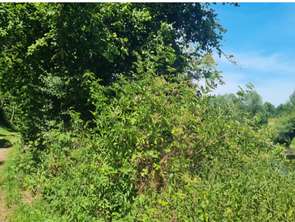 Vente Terrain 7270 m&sup2;Clécy