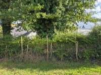 Vente de terrain