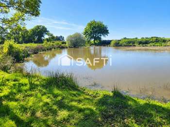 Vente Terrain 8000 m&sup2;Clessé