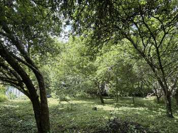 Vente Terrain 839 m&sup2;Clohars-Carnoët