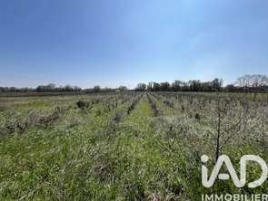 Vente Terrain 8225 m&sup2;Codolet