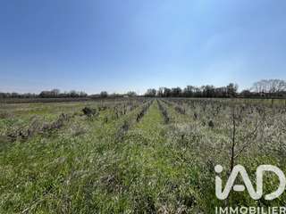 Vente de terrain