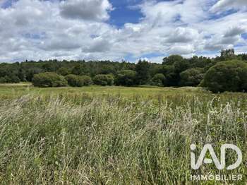 Vente Terrain 61200 m&sup2;Coëtlogon