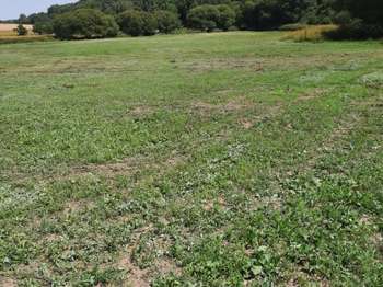 Vente Terrain 61200 m&sup2;Coëtlogon