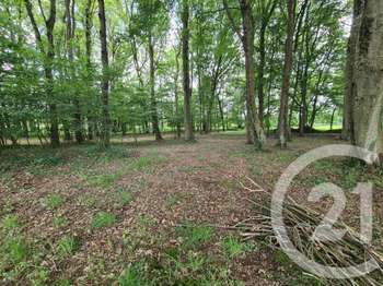 Vente Terrain 27800 m&sup2;Combourg