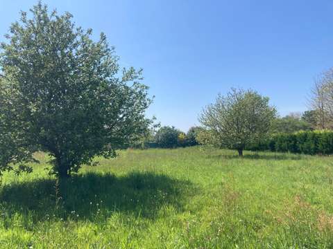 Vente de terrain