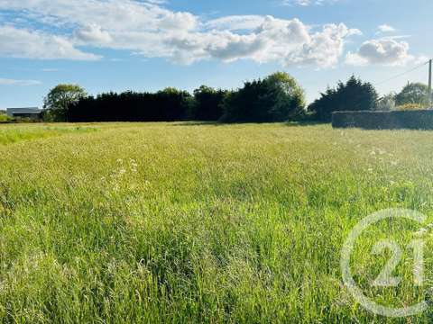 Vente de terrain Commequiers 85