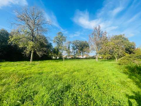 Vente de terrain Commequiers 85