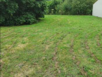 Vente de terrain