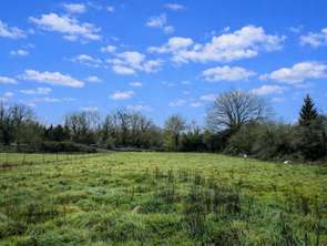 Vente Terrain 1973 m&sup2;Commequiers