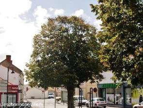 Vente Terrain 408 m&sup2;Commequiers