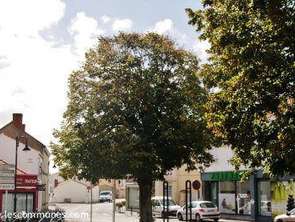 Vente Terrain 408 m&sup2;Commequiers