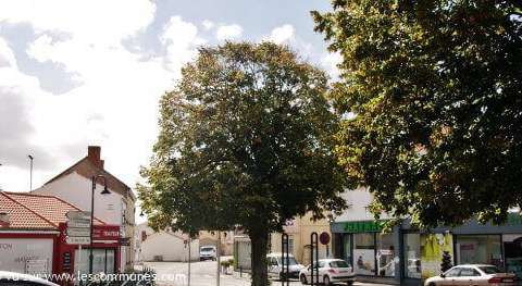 Vente de terrain Commequiers 85