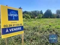 Vente de terrain