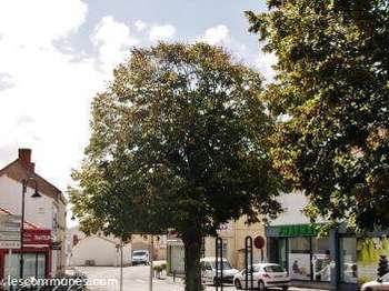 Vente de terrain Commequiers 85