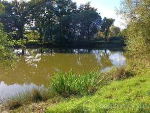 Vente Terrain 5361 m&sup2;Commer