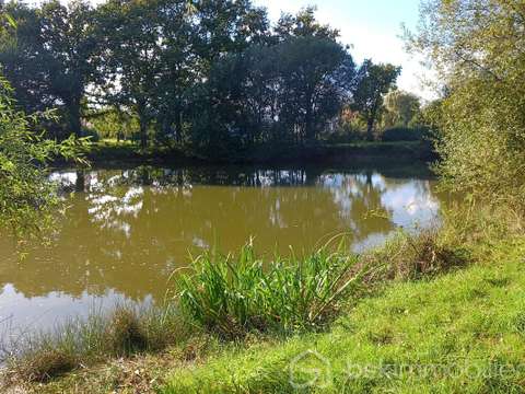 Vente de terrain Commer 53