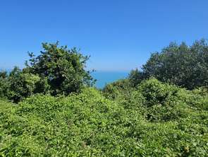 Vente Terrain 812 m&sup2;Commes