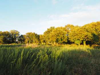 Vente de terrain Concarneau 29