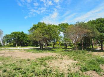 Vente de terrain Concarneau 29