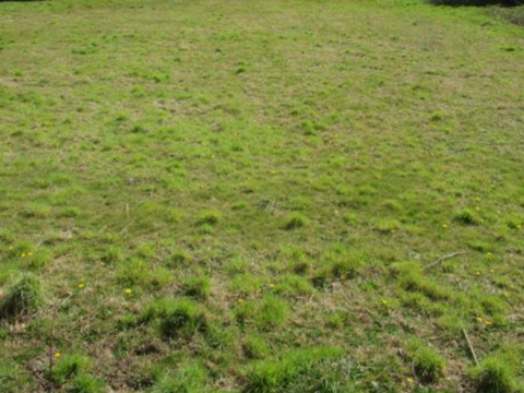 Vente de terrain Concarneau 29