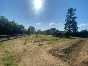 Vente Terrain 600 m&sup2;Connerré