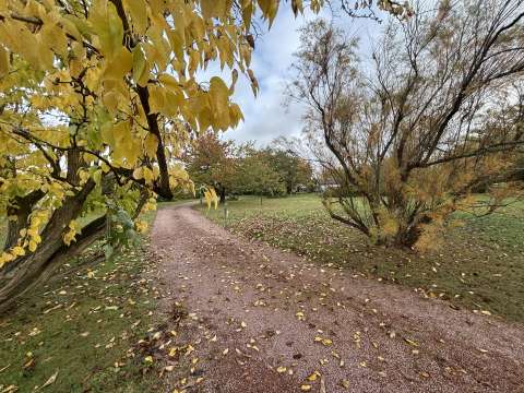 Vente de terrain Connerré 72