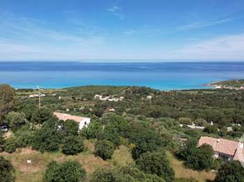 Photo Vente de terrain Corbara