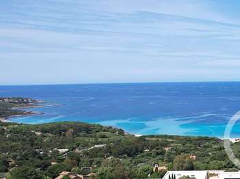 Photo Vente de terrain Corbara