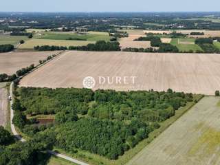 Vente de terrain
