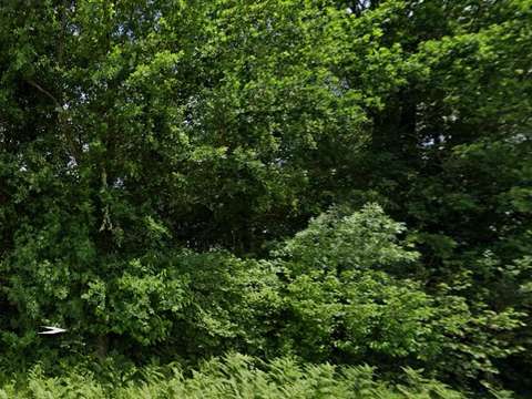 Vente de terrain Corme-Royal 17