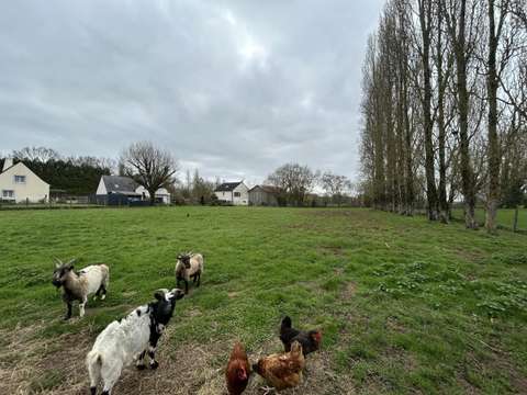 Vente de terrain