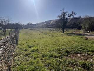 Vente de terrain