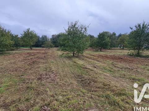 Vente de terrain Coudroy 45