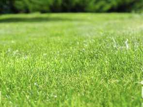 Vente Terrain 327 m&sup2;Couëron