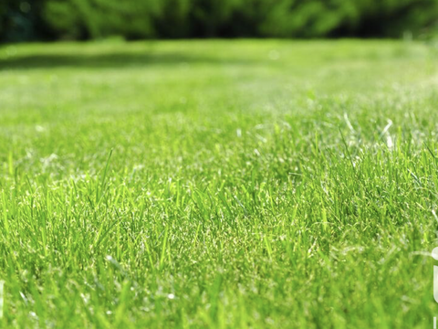 Vente de terrain Couëron 44