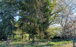 Photo Vente de terrain Cournon