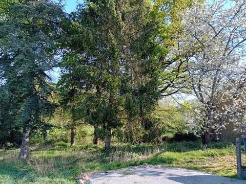 Vente de terrain Cournon 56