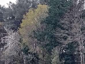 Vente Terrain 19961 m&sup2;Cournon