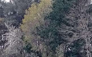 Photo Vente de terrain Cournon