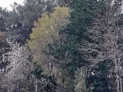 Vente de terrain Cournon 56