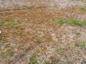 Vente Terrain 383 m&sup2;Crach