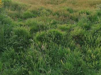 Vente Terrain 433 m&sup2;Crach
