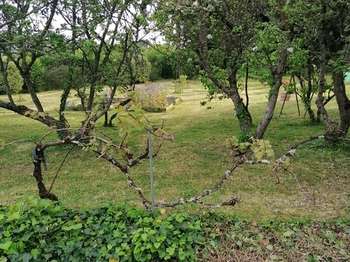 Vente Terrain 640 m&sup2;Crach