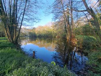 Vente Terrain 34400 m&sup2;Craon
