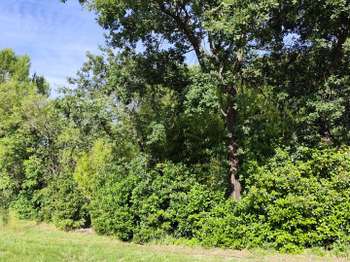 Vente Terrain 500 m&sup2;Crespian