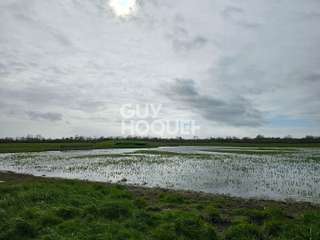 Vente de terrain