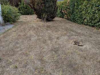 Vente de terrain Crossac 44